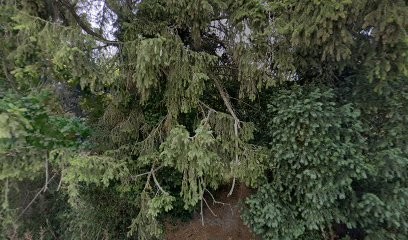 Sophrologue LEBOURG Emmanuelle - Cabinet Grenoble et Vif, Praticien de Médecine Alternative à Vif