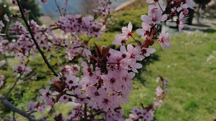 Charlène Barrucand reflexologue et Hypno praticienne, Réflexologue à Saint-Sylvestre