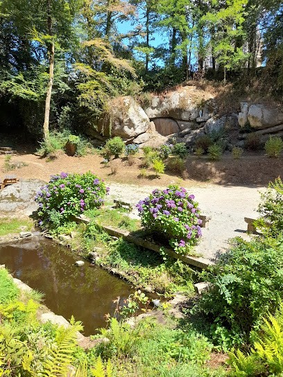 Pascale DENIZANE Energéticienne, Praticien de Médecine Alternative à Canihuel