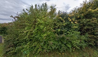 Acupuncture/Médecine Chinoise/74/Yvoire/Messery/Douvaine /D. Allain, Praticien de Médecine Alternative à Messery
