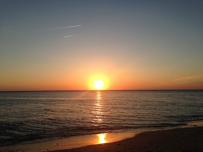 Rosa Havet, Praticien de Médecine Alternative à Rainneville