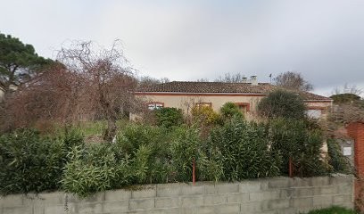 LLORENS JEAN, Praticien de Médecine Alternative à Fonsorbes