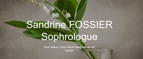 sandrinesophro63, Praticien de Médecine Alternative à Tours-sur-Meymont