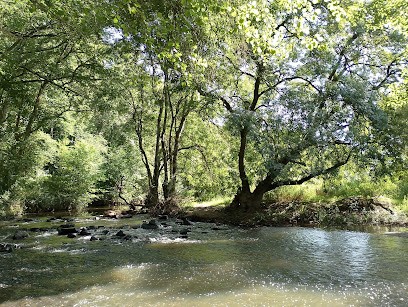 Aurélie Dufour - Nouvelle Renaissance, Praticien de Médecine Alternative à Grand-Auverné