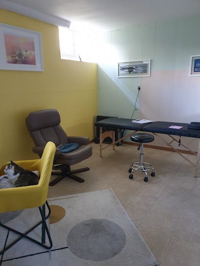 LABAYE Françoise Praticienne Hypnose-pnl-magnétisme-acupressure, Praticien de Médecine Alternative à Saint-Germain-des-Fossés