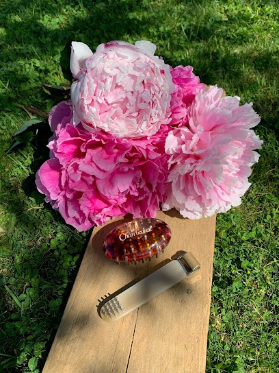 COCONS CÉLESTES | Sandra Bardin | Réflexologie & Libération émotionnelle (EFT • Psychocorporel • Massages B.E.) | Vendée, Réflexologue à Essarts en Bocage