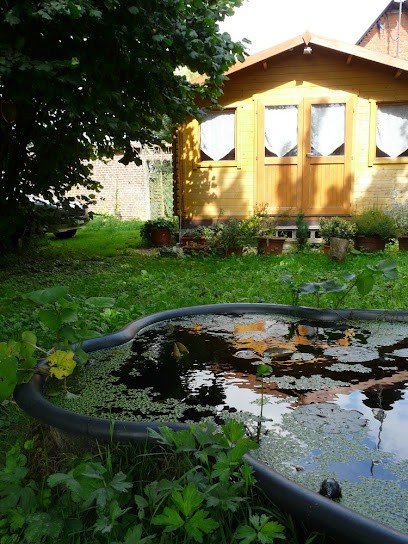 Virginie JOSEPH LE GOAS, Praticien de Médecine Alternative à Saussay-la-Campagne