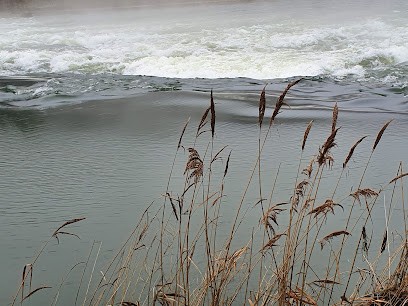 L'Esprit Humble, Praticien de Médecine Alternative à Besançon