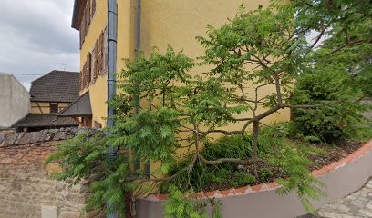 Geraldine Hecky, Praticien de Médecine Alternative à Obermorschwihr