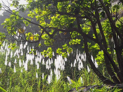 Christelle Vandenberghe Sophrologue, Praticien de Médecine Alternative à Sauveterre