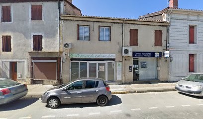 Acupuncteur/ Médecine traditionnelle chinoise, Praticien de Médecine Alternative à Casteljaloux
