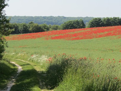 Raphaëlle Sandri Naturopathe Réfléxologue, Praticien de Médecine Alternative à Trappes