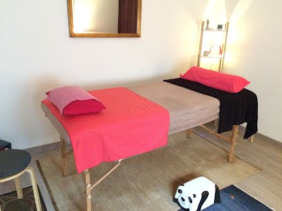 Claudia Piechotzki Energie De Vie: Énergéticienne Magnétiseuse, Formations Reiki, Méditation Hendaye, Praticien de Médecine Alternative à Hendaye