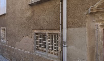 Delphine Mazzoli, Praticien de Médecine Alternative à Villefranche-de-Rouergue