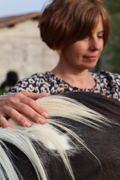 Murielle Higelin - Le Domaine De Chiron, Praticien De Médecine Alternative à Castanet