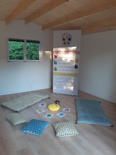 Ariane Johnson Sophrologue RNCP - Enfants, Ados, FIV, PMA et tout public - Tours, Praticien de Médecine Alternative à Rochecorbon