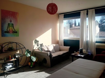 Nicolas Bertolotti Naturopathe - Iridologue, Praticien de Médecine Alternative à Venelles