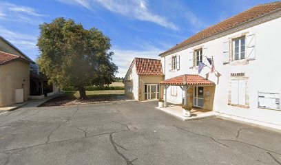 Joke Elfring, Hypnothérapeute à Berdoues