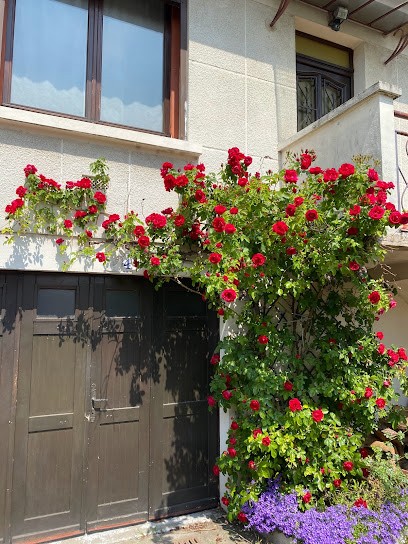 Margareth Baulard Réflexologie, Réflexologue à Herblay