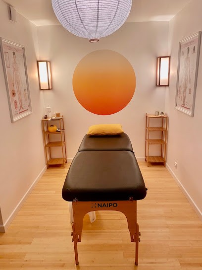 Bruno-Raphaël Dubois, Praticien de Médecine Alternative à Cébazat