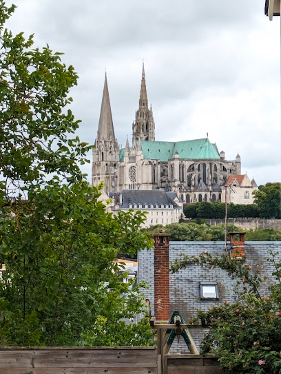 Elizabeth Energéticienne Magnétiseur, Praticien De Médecine Alternative à Chartres