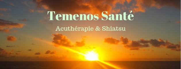 Temenos Santé, Praticien de Médecine Alternative à Saint-Mammès