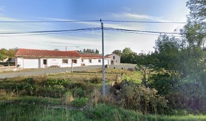 Véronique RIVEREAU Réflexologue, Réflexologue à Sèvremoine