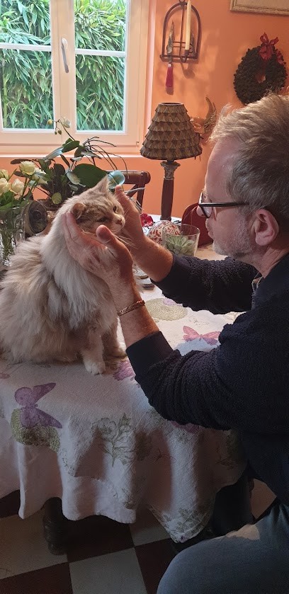 Franck Raynaud Magnétiseur, Praticien de Médecine Alternative à Grayan-et-l'Hôpital