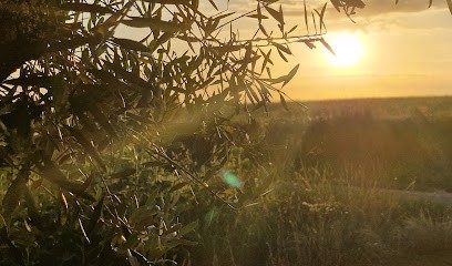Natur'empathie, Praticien de Médecine Alternative à Saint-Puy
