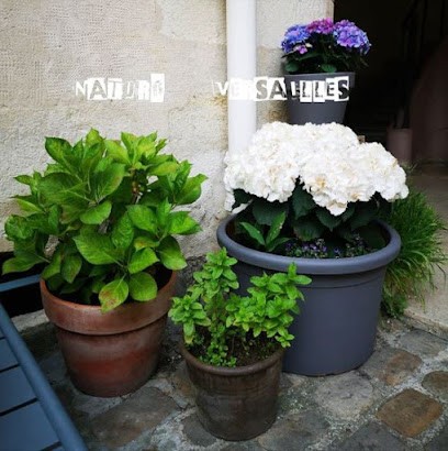 Naturopathe Versailles Sylvie Guillemin Lanne, Praticien de Médecine Alternative au Chesnay