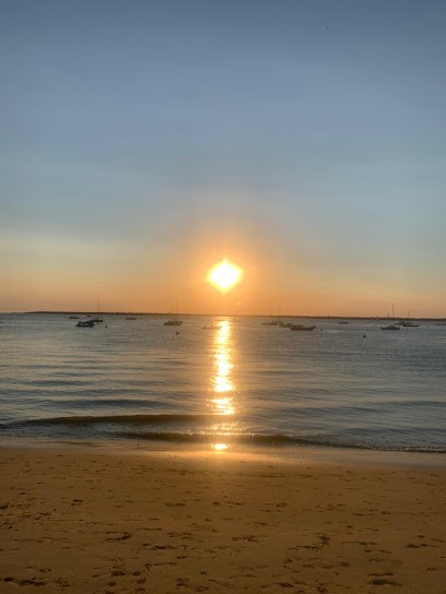 Magnétiseur-lectures akashiques-hypnose, Praticien de Médecine Alternative à Blanquefort