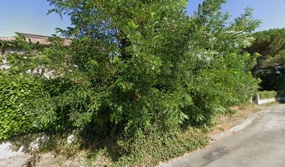 Nathalie Decottignies Naturopathe Villeneuve sur Lot, Praticien de Médecine Alternative à Villeneuve-sur-Lot