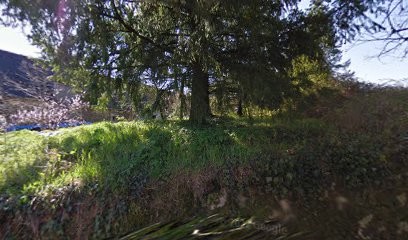 Naturopathe - Vincent Antoria, Praticien de Médecine Alternative à Peyrignac