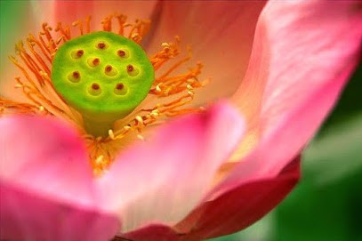 Christel MOUDEN Sophrologie-Coaching/Web Design Thiais Val De Marne, Praticien de Médecine Alternative à Thiais