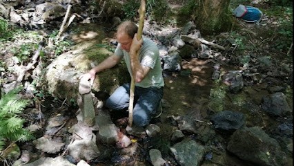 David Toussart - Médium - Guérisseur - Soin Ancestral Par Minéraux - Magnétiseur Pour Animaux, Praticien de Médecine Alternative à Gouézec