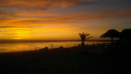 Magnétiseur Requena Marie-Claude, Praticien de Médecine Alternative à Tournefeuille