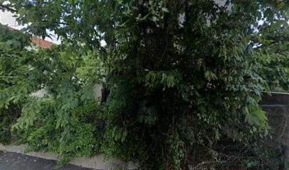 Viofor, Praticien de Médecine Alternative à Rosny-sous-Bois