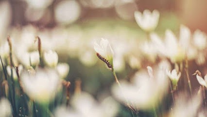 Audrey Zerbini - préparateur mental-sophrologue, Praticien de Médecine Alternative à Saint-Martin-du-Var