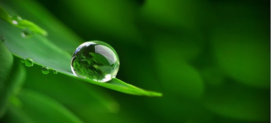 HAPPY HEALTH HAPPYNESS, Praticien de Médecine Alternative à Sainte-Marie-la-Blanche