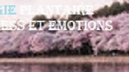 Decailliot Nadine, Réflexologue à Gray