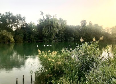 Mercedes Mebarki - Sophrologue Thérapeute Certifiée RNCP - Institut De Formation Sophrologue De France, Paris, Praticien de Médecine Alternative à Lagny-sur-Marne