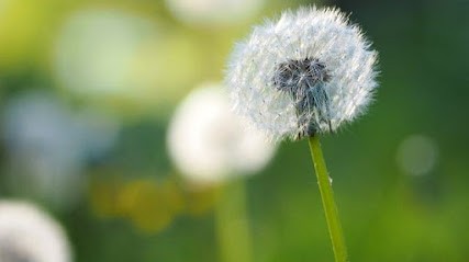 Legon Marianne sophrologue, Praticien de Médecine Alternative à Coublevie