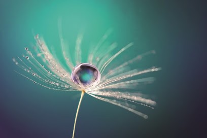 Annabelle Delroux - Sophrologue à Melun, Praticien de Médecine Alternative à Melun