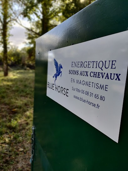 Blue Horse - Equicoach & Magnétiseur, Praticien de Médecine Alternative à Cluny