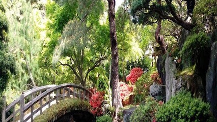 Arnaud Normand, Praticien de Médecine Alternative à Vailhauquès