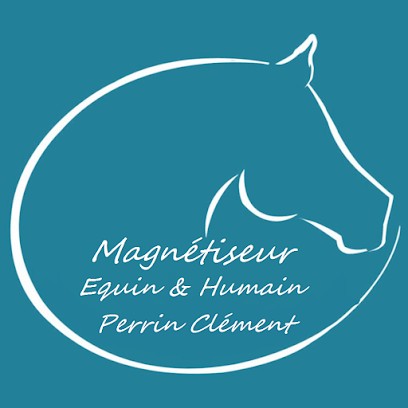 Magnétiseur Clément PERRIN, Stress, Anxiété, Douleur Musculaire, Articulaire, Trouble Du Sommeil, L'insomnie..., Praticien de Médecine Alternative au Luot