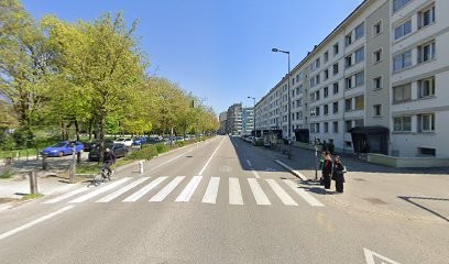 Karine VINCENT, Praticien de Médecine Alternative à Grenoble