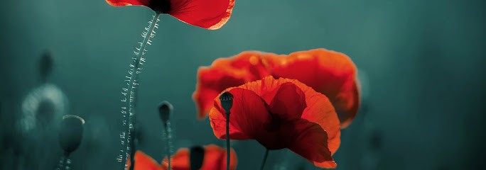 Naturophile By Doria, Praticien de Médecine Alternative à Vigneux-de-Bretagne