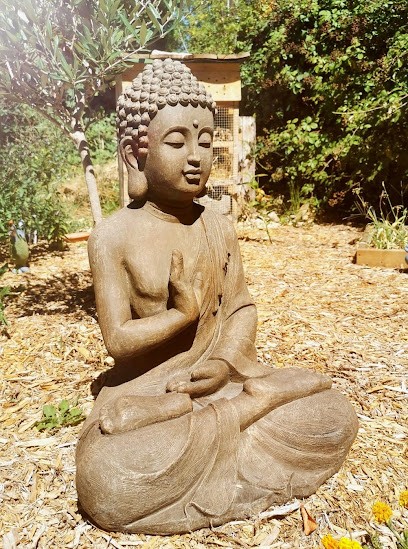 Alexandra Marty Praticienne Shiatsu, Praticien de Médecine Alternative à Lantages