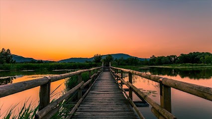 Coach De Vie Intuitive, Praticien de Médecine Alternative à Grenade